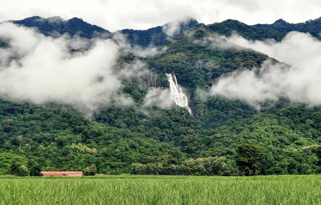 Voyage train Tanzanie - Udzungwa Mountains National Park