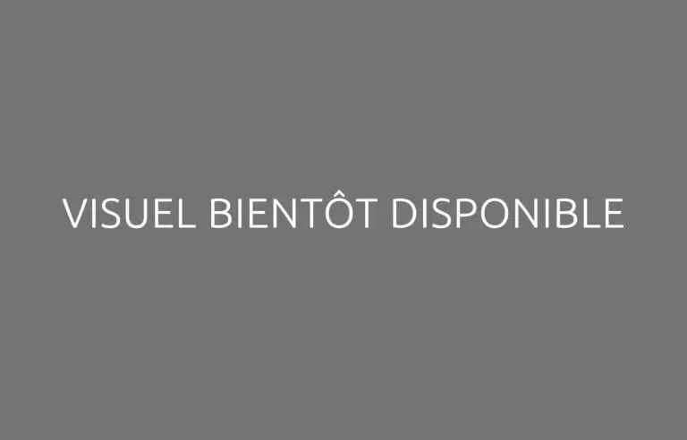 Visuel bientôt disponible