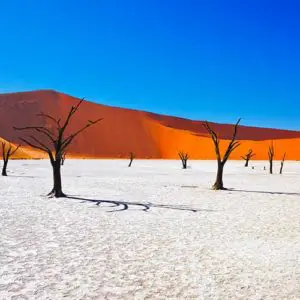 voyage train namibie